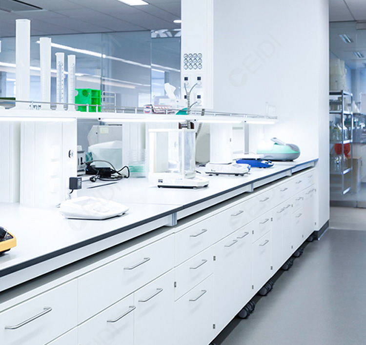 實驗室可行性研究調查內容: